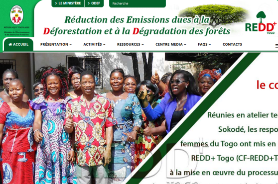 Reddtogo.tg : le projet redd + au bout du clic