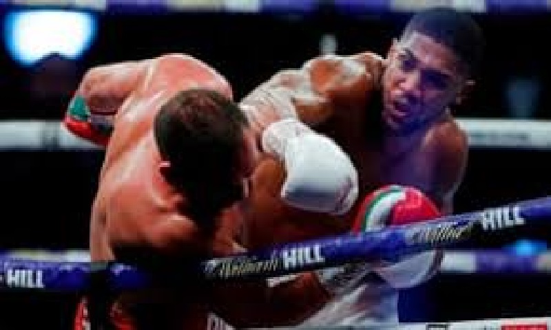 Royaume-Uni / Boxe : Anthony Joshua met K.O. Kubrat Pulev et conserve ses titres