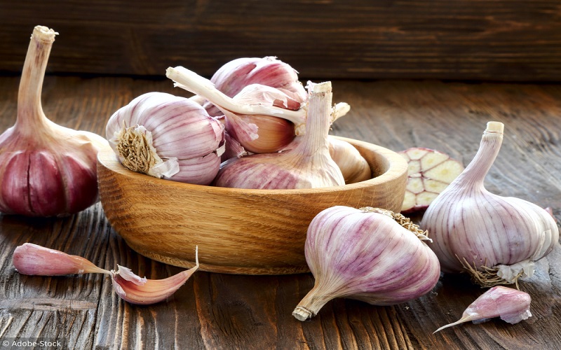 Journée mondiale contre le cancer : voici 5 meilleurs aliments qui préviennent ce mal