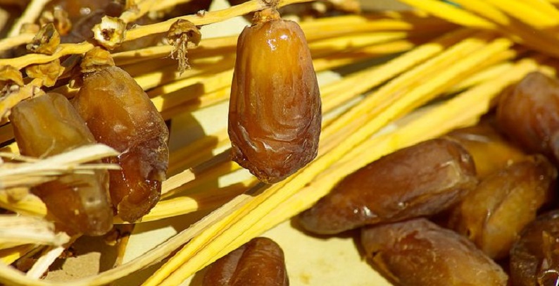Rupture du jeûne du Ramadan : ces 5 vertus de la datte à connaître