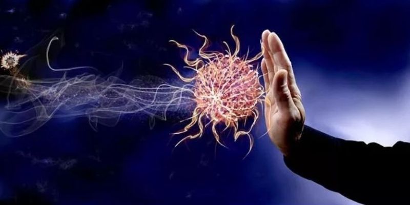 Santé : ces 10 aliments qui aident à renforcer l’immunité