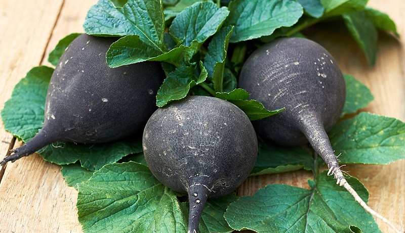 Santé : voici 5 bienfaits épatants du radis noir