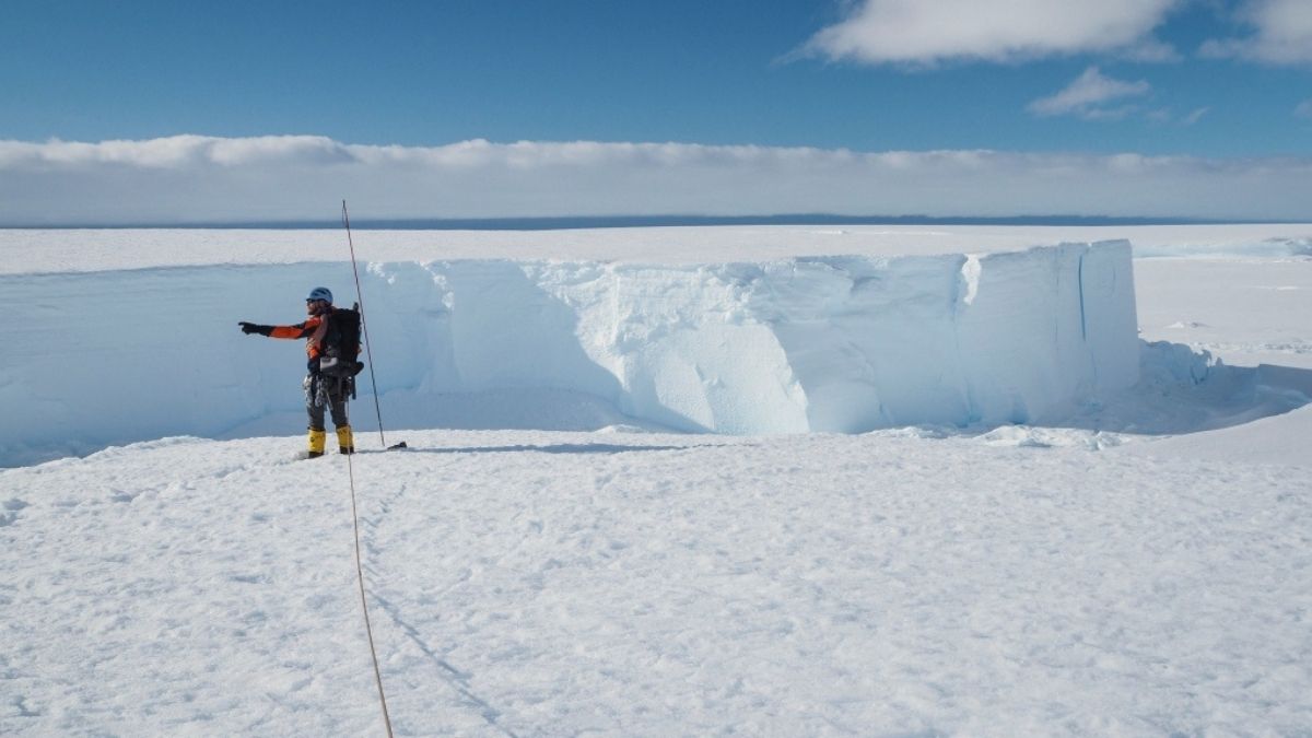 Seul continent jusqu’alors épargné, l’Antarctique connaît ses premiers cas de coronavirus