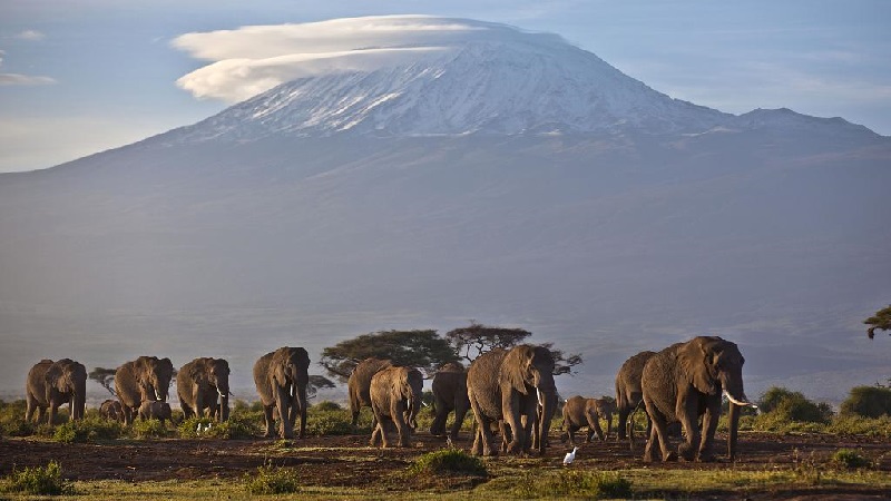 Tanzanie : un départ de feu sur le mont Kilimandjaro