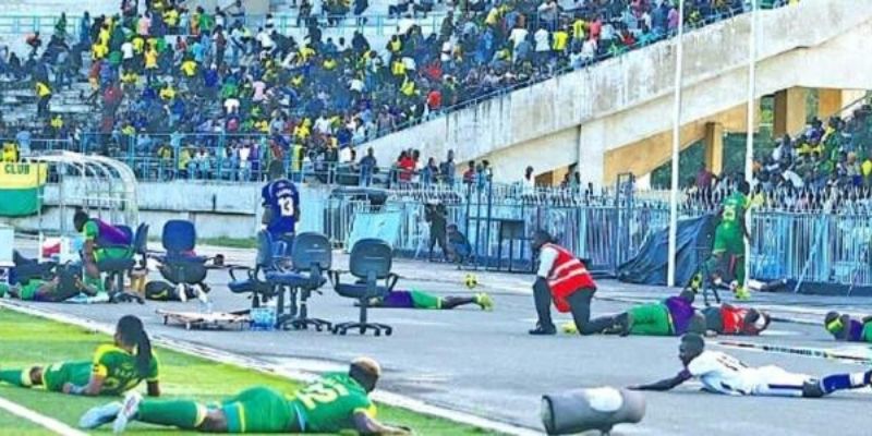 Tanzanie : une invasion massive d’abeilles en plein match (vidéo)