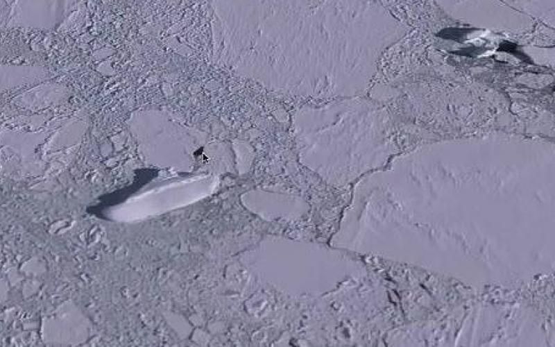 Théorie du complot : réactions diverses après la découverte d’un youtubeur sur Google Earth