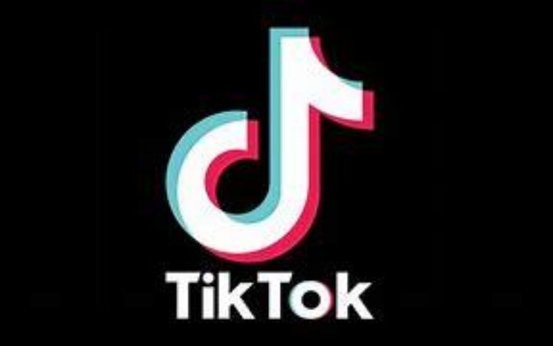 TikTok : 20 stars envoient une lettre ouverte à Trump contre l’interdiction de l’application