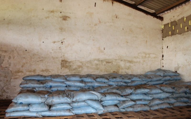 Togo : 100 000 tonnes d’engrais vivriers pour la campagne agricole 2020-2021
