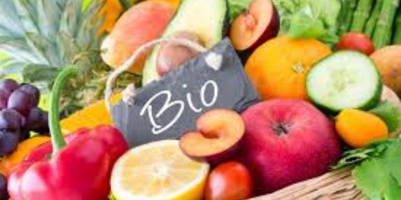 Togo : 1er pays de la CEDEAO exportateur de produits bio vers l’Europe