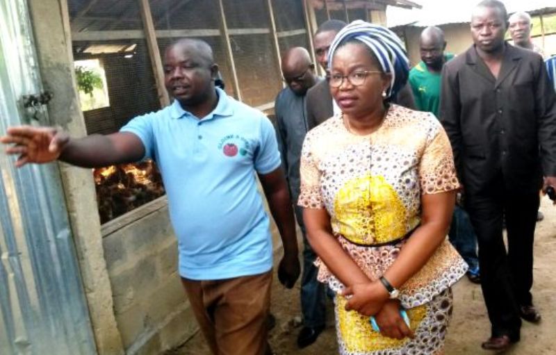 Togo / 20 % de marchés publics aux jeunes entrepreneurs : 10 milliards FCFA décrochés en 2018 par les jeunes