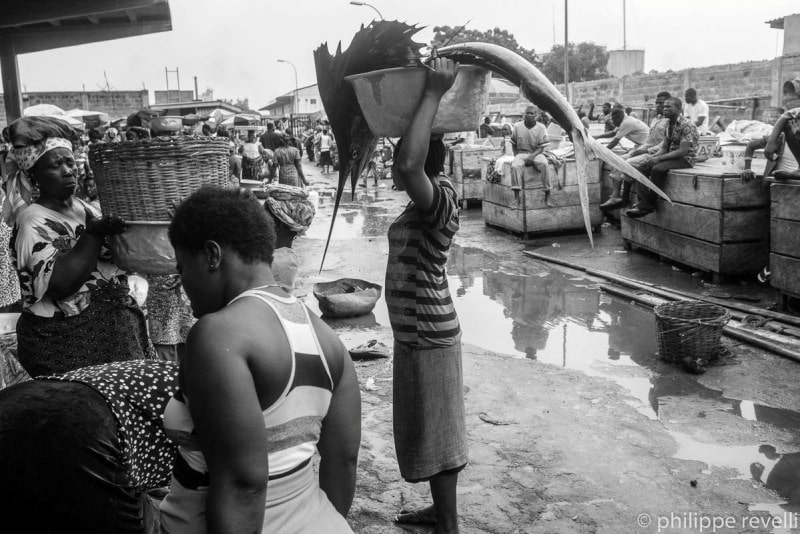 Lomé / Togo : Les raisons de l’approvisionnement en petits poissons « Adiadoè » au Ghana