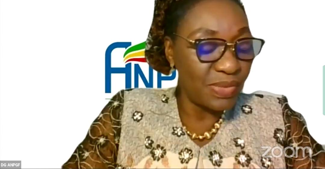 Togo / ANPGF : les opérateurs économiques outillés sur les opportunités de la Loi de Finances 2021