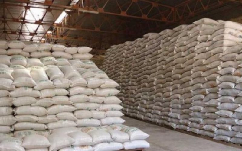 Togo / Agriculture : le stock d’engrais prêt pour la campagne 2020-2021 malgré le Covid-19