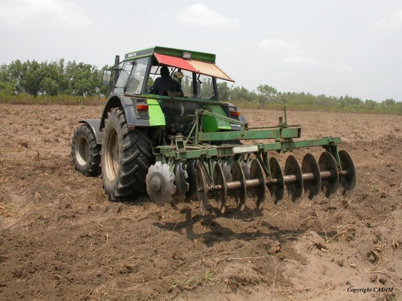 Togo/Agriculture : appel à candidatures au concours d’innovation agricole