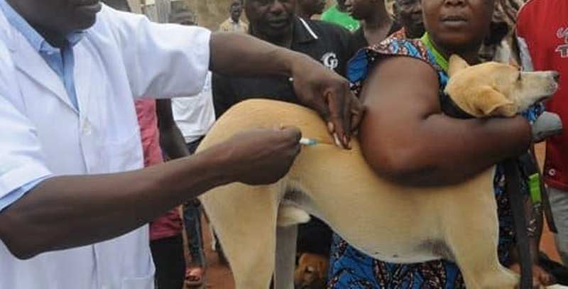 Côte d’Ivoire / Covid-19 : le lancement de la vaccination connaît un succès