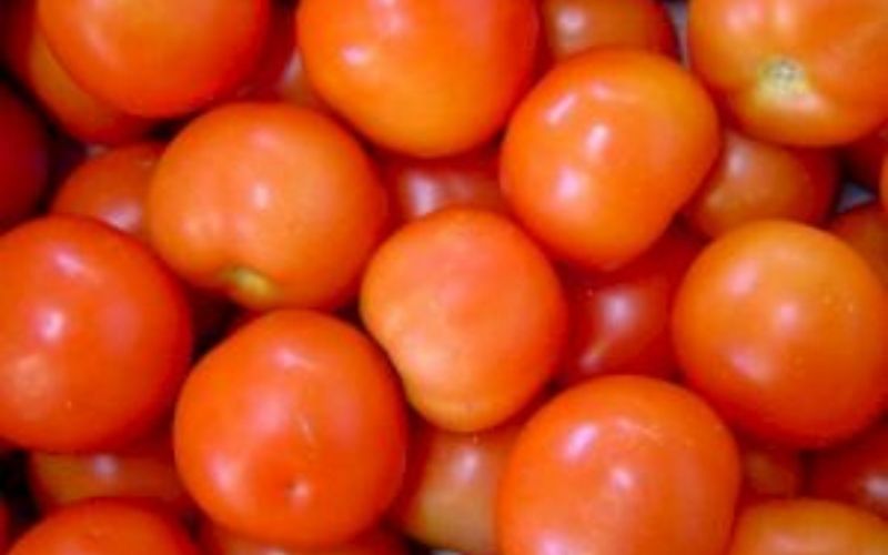 Togo / Alimentation : le prix de la tomate fraîche ‘pommevi’ double en un mois