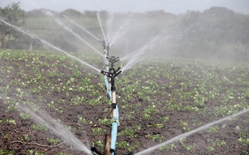 Togo / Covid-19 : 15 000 kits d’irrigation pour les producteurs vulnérables d’ici à novembre 2020