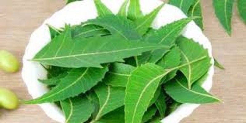 Togo / Covid-19 : des recherches à base de plantes en phase de test