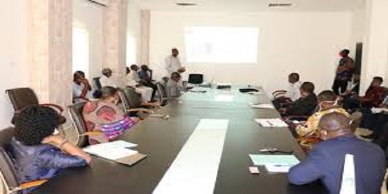 Togo / Covid-19 : l’Université de Lomé présente ses premiers résultats à base de plantes