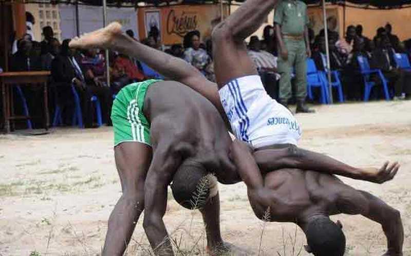 Togo/Evala 2019 : fractures, entorses, déboîtements…un véritable parcours du combattant dans l’arène
