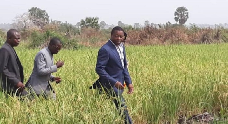 Togo: Faure Gnassingbé en tournée chez les producteurs de Gari dans le Vo