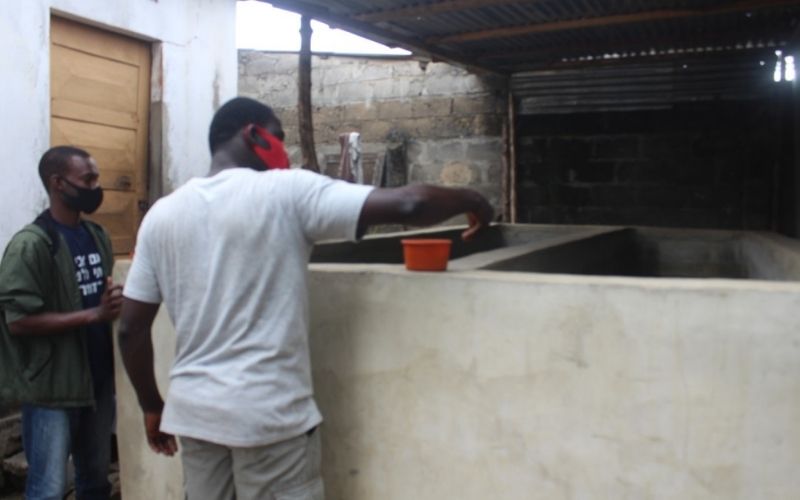 Togo : Fish Farm, la coopérative de tilapia qui fleurit à Adakpamé