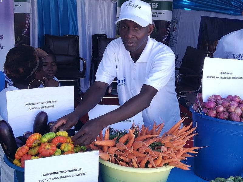 Togo/Inclusion financière : le Fnfi fait le point au système des Nations unies