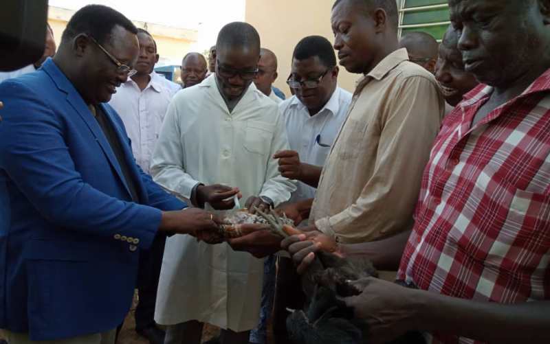 Togo/Kara: une campagne de vaccination pour annoncer le Forum des paysans