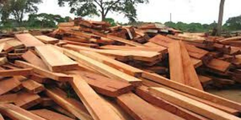 Togo : quand le prix du bois touche le plafond