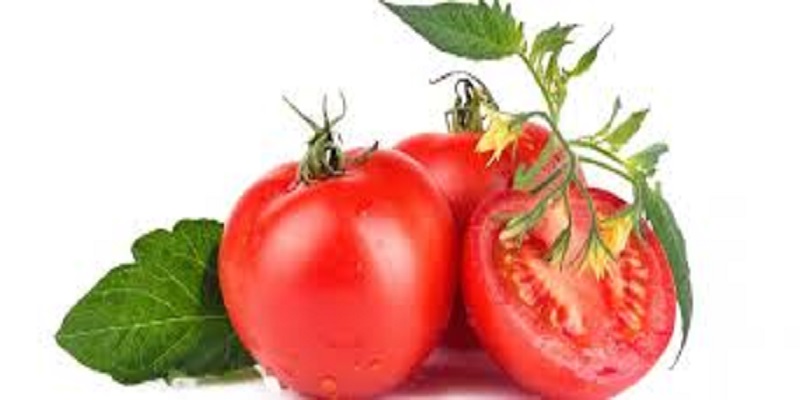 Togo / Nutrition : pourquoi faut-il consommer de la tomate fraîche ?