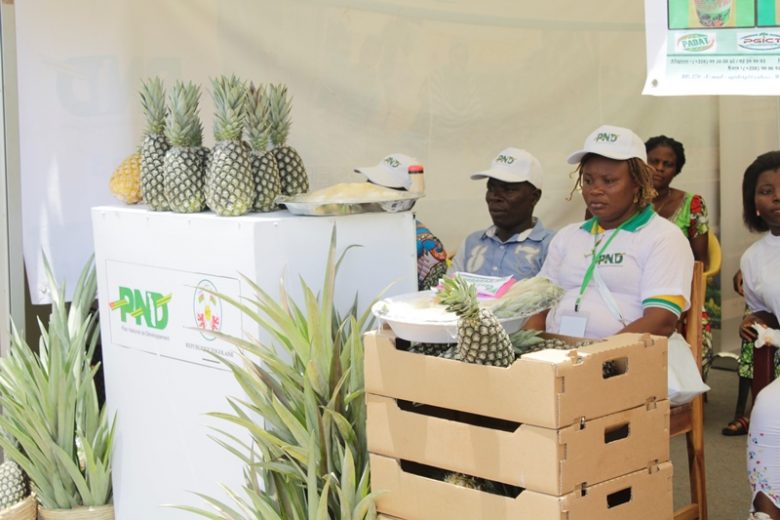 Togo / Mifa : 4 milliards de FCFA alloués aux agriculteurs entre août et septembre