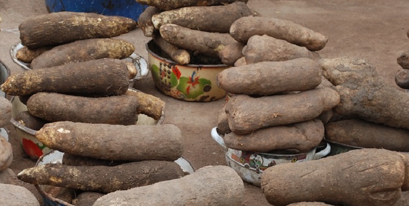 Togo : cette énigme mathématique sur la fête de l’igname retient l’attention des internautes depuis ce dimanche matin