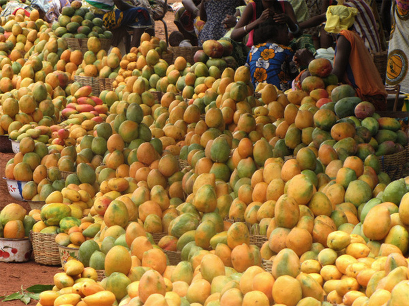 Togo: de nouvelles données statistiques fiables pour améliorer les filières fruits et légumes