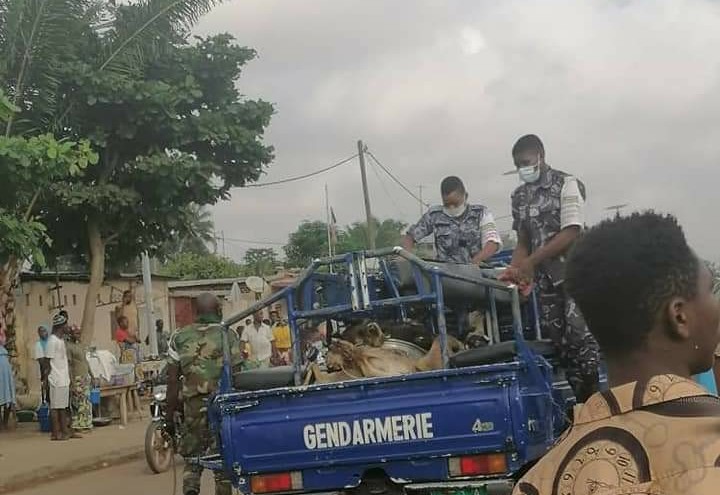 Togo : des animaux vivants ou braisés saisis par des soldats à Gbossimé ce vendredi