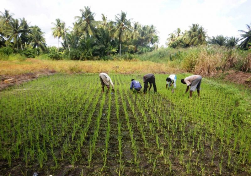 Togo/Voici les défis environnementaux au cœur du PASA