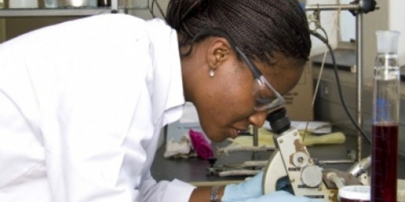 Togo : l’ITRA, un institut au service du monde agricole