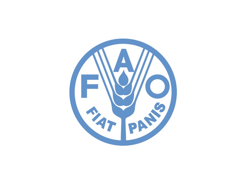 Togo : la FAO recrute (17 septembre 2020)