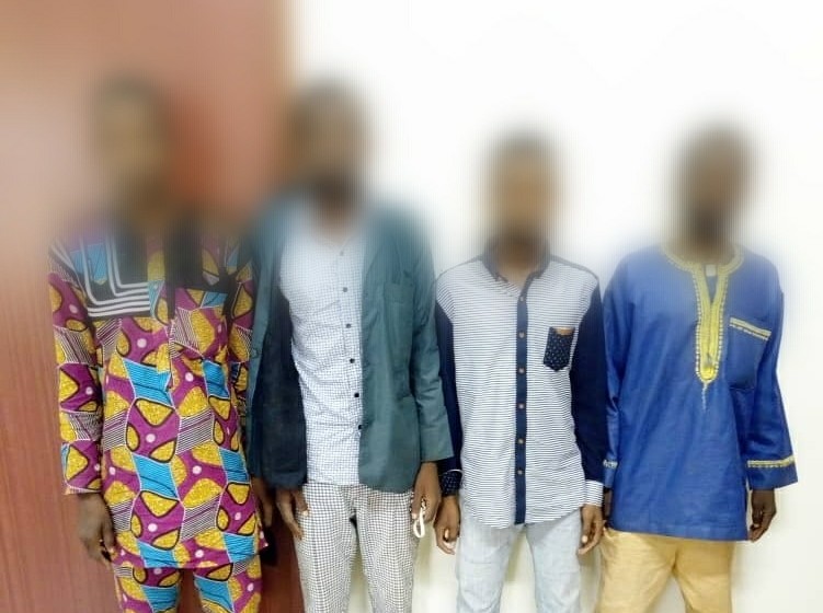 Togo : le gang voleur de 46 bœufs dans l’Avé, arrêté
