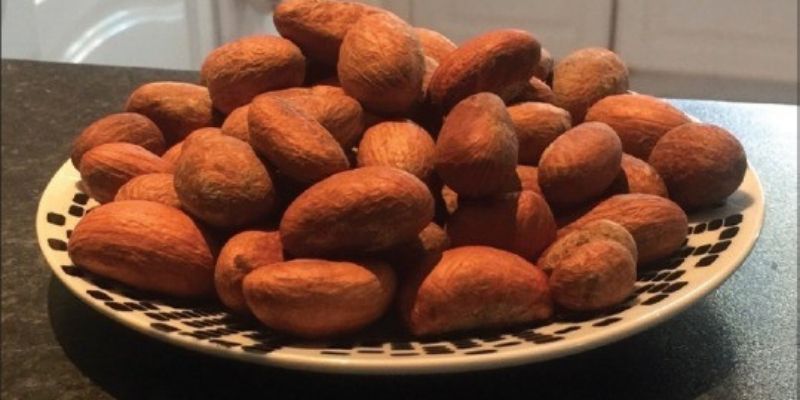 Togo : le petit cola a-t-il vraiment des vertus sur la sexualité ?