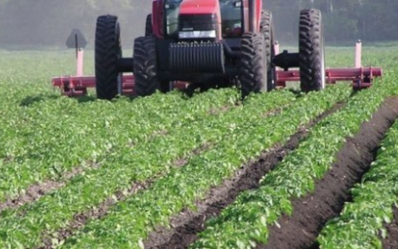 Le Togo veut faire des agriculteurs de Kara, des entrepreneurs verts