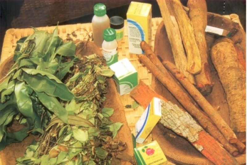Coronavirus au Togo : Les tradithérapeutes veulent  proposer des solutions