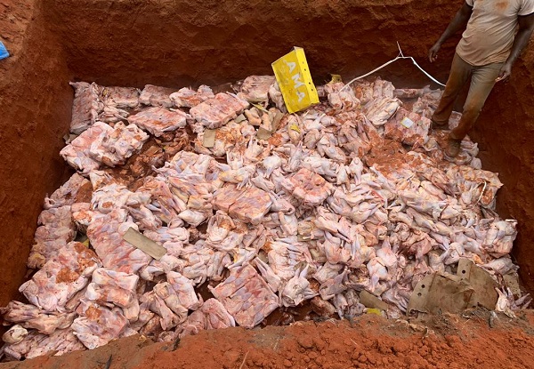 Togo / OTR : près de 1000 cartons de poulets congelés saisis et détruits en une semaine