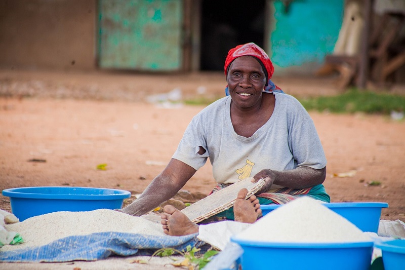 Togo : voici les prix au bol  des produits  agricoles sur les  marchés