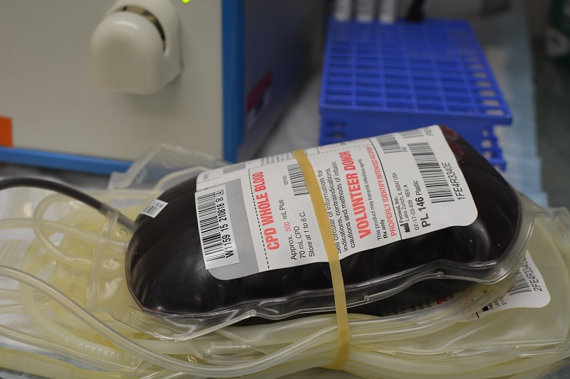 Togo – Journée mondiale du don de sang : un geste salvateur pour un sang sécurisé pour les patients