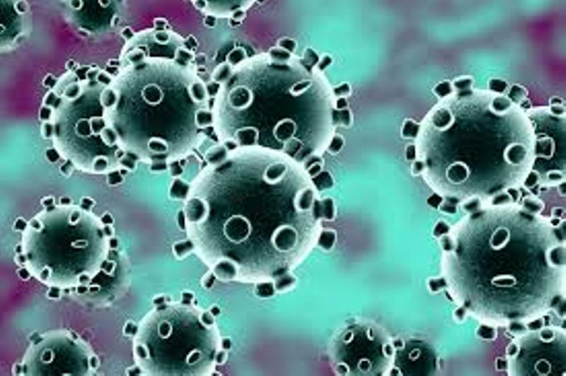 Ce pays serait le premier au monde à avoir vaincu le coronavirus