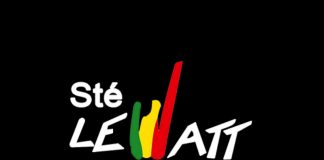 Togo : la société Le Watt recrute (11 juillet 2019)