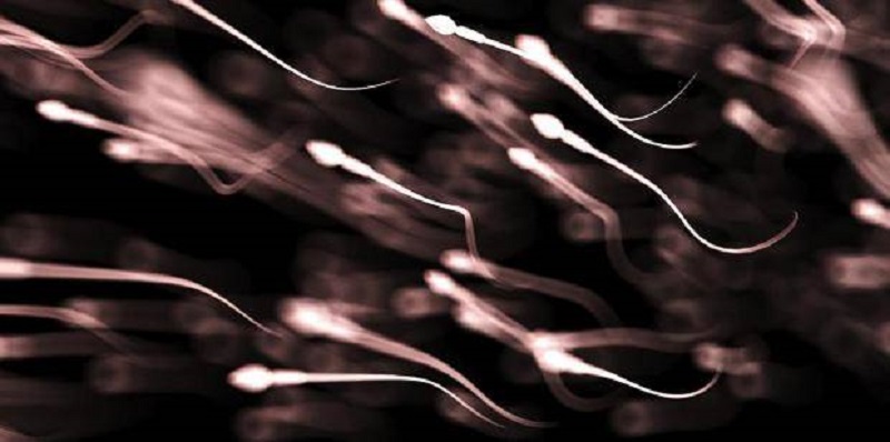 Détecté dans du sperme, le coronavirus serait aussi une  MST