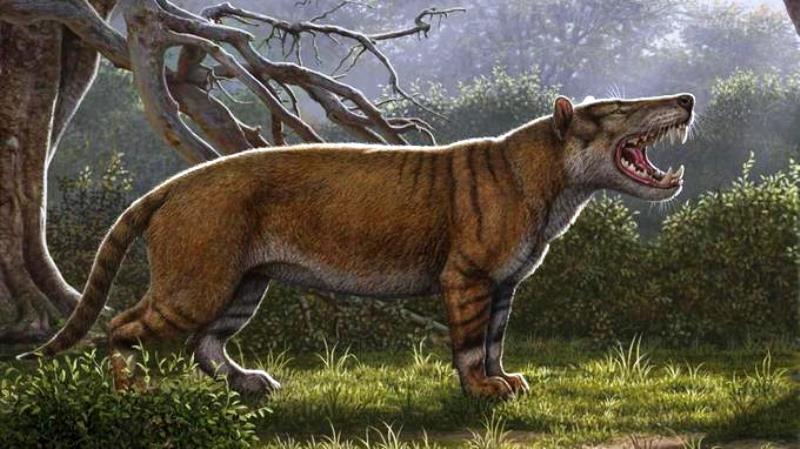 Un félin 7 fois plus gros qu’un lion découvert au Kenya