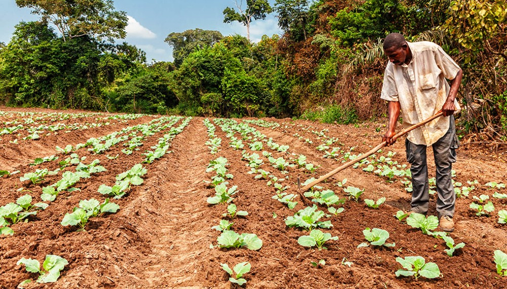 Un franc succès pour l’Agri-PME
