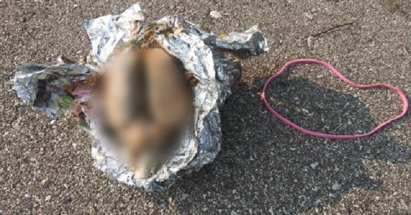 Un homme trouve un cerveau dans du papier aluminium en se promenant sur la plage